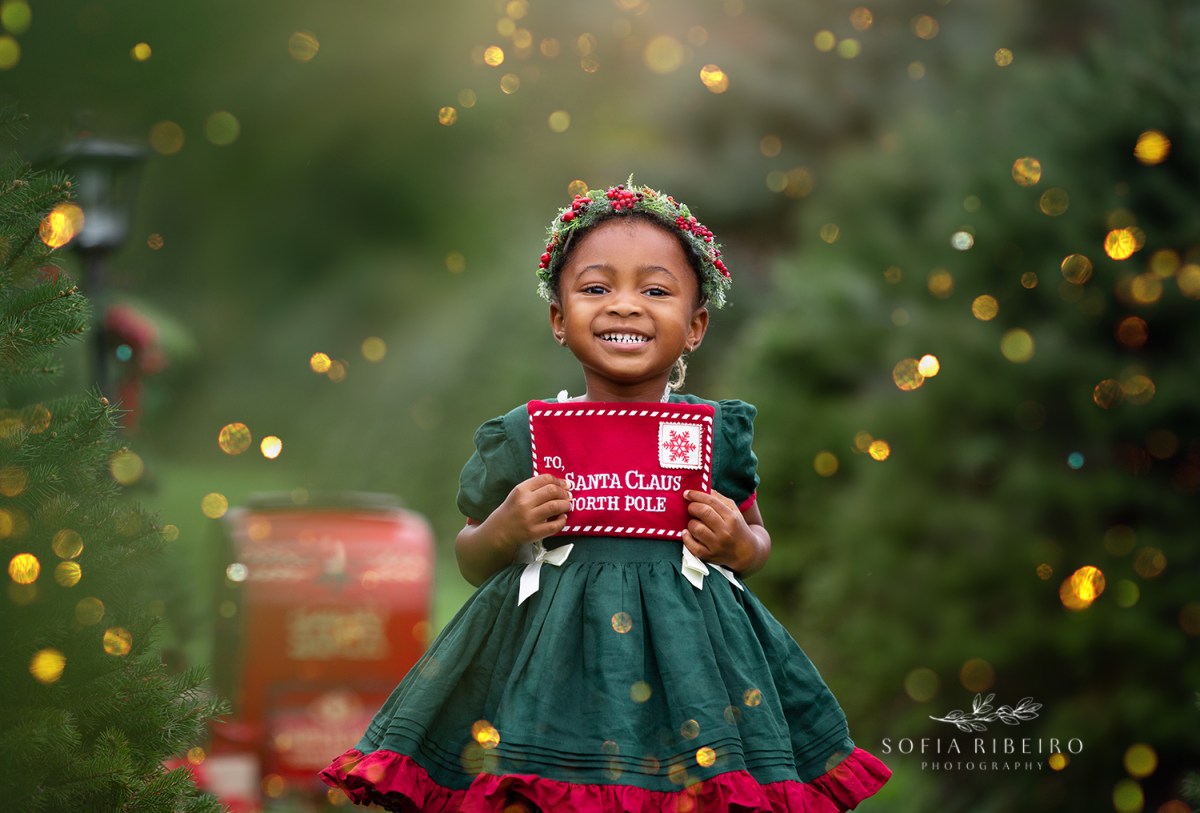 Holiday Photos – Mini Sessions 2025