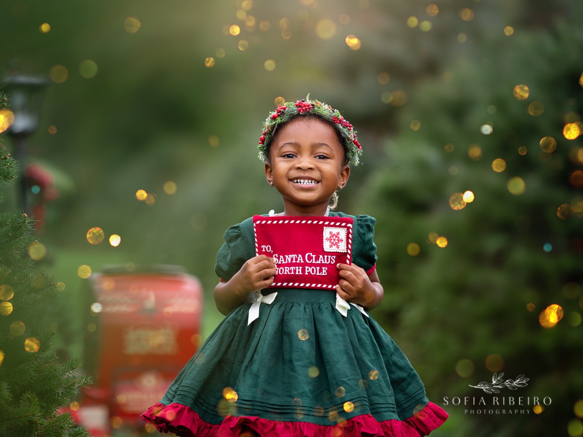 Holiday Photos – Mini Sessions 2025