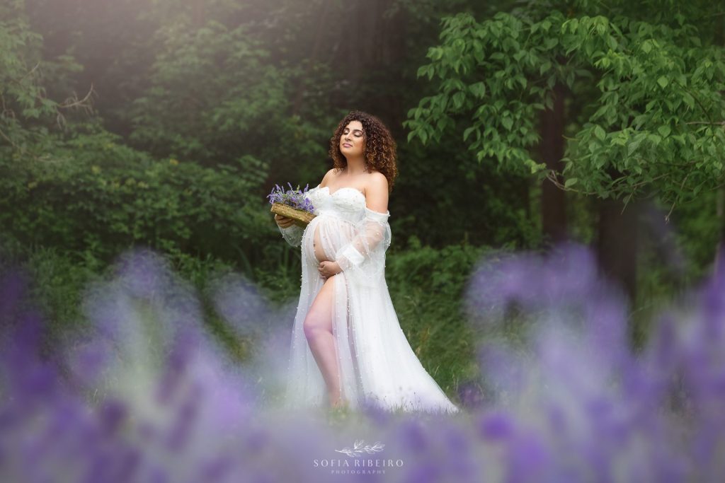 lavender field maternity session new jersey