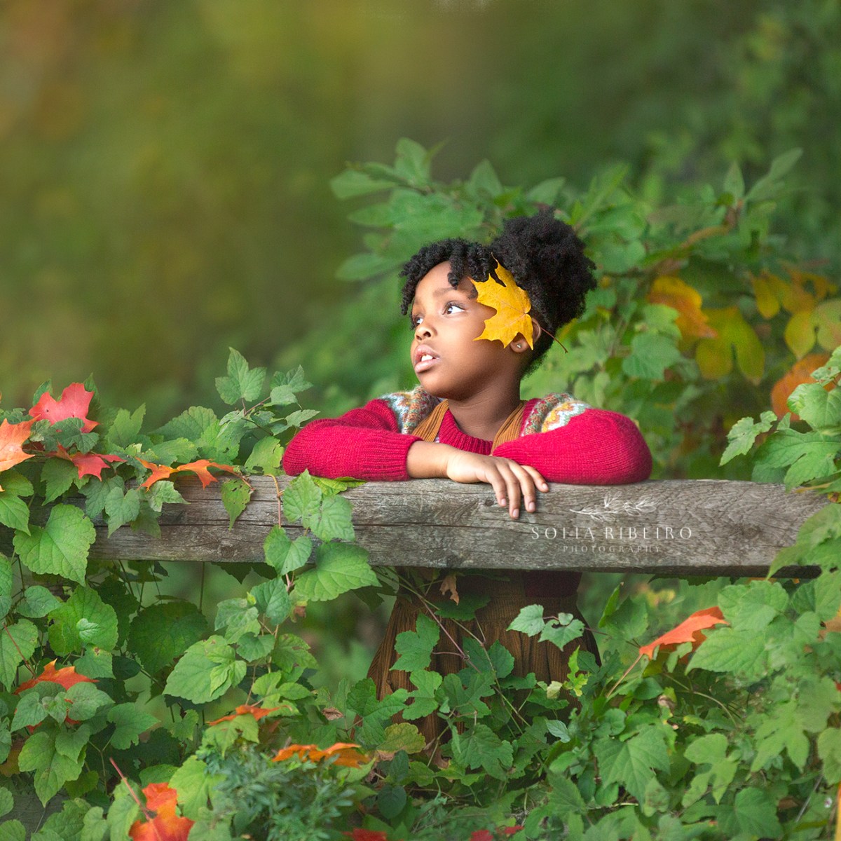 A Workshop with Noelle Mirabella Photography