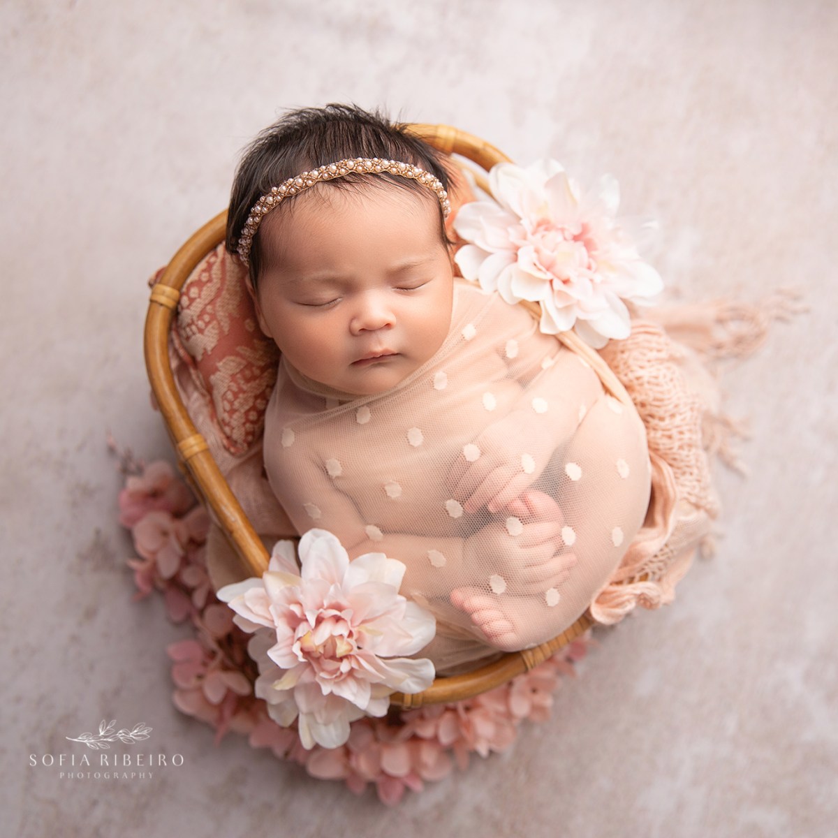 Hudson County Baby Photographer
