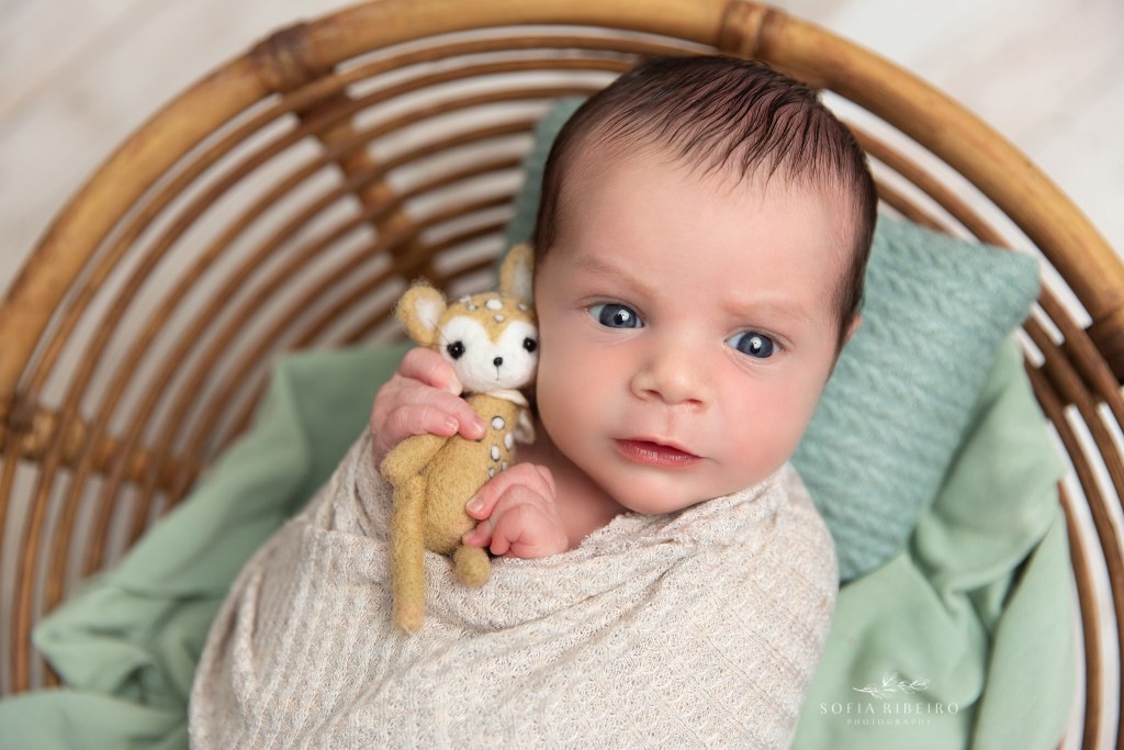 somerville new jersey newborn photography session,baby boy