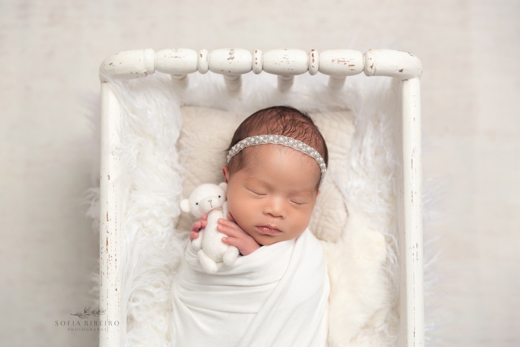 hillsborough nj newborn photographer, newborn girl twin