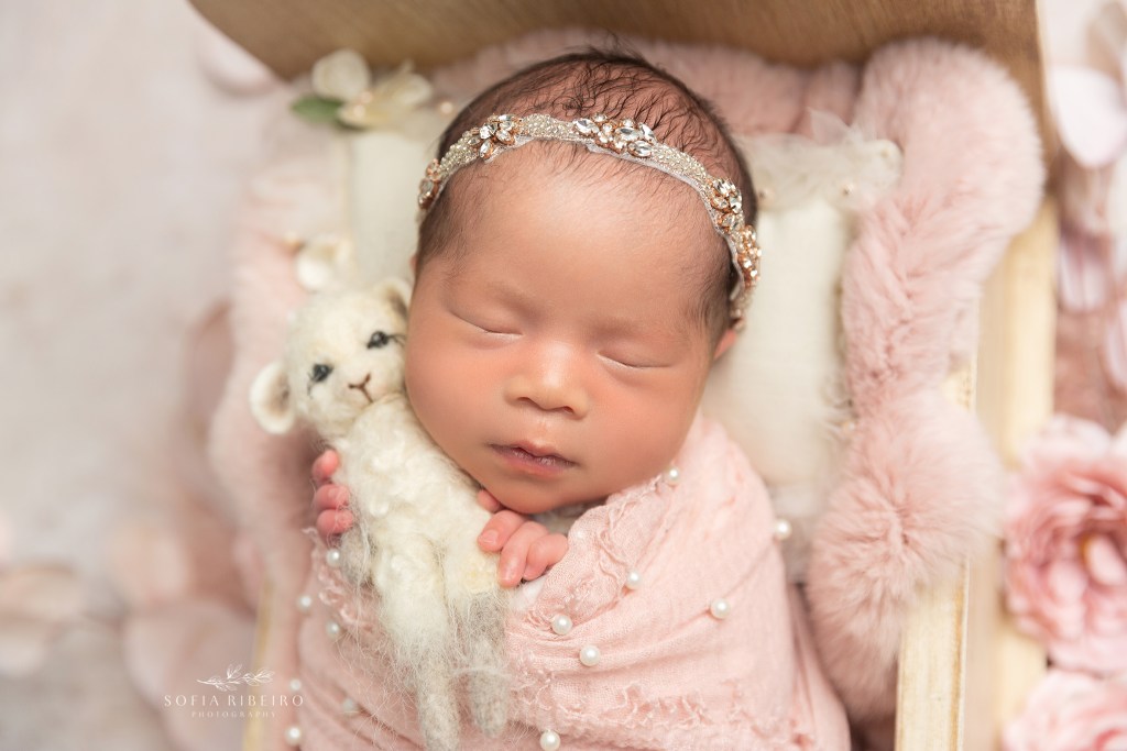hillsborough nj newborn photographer, baby girl in pink