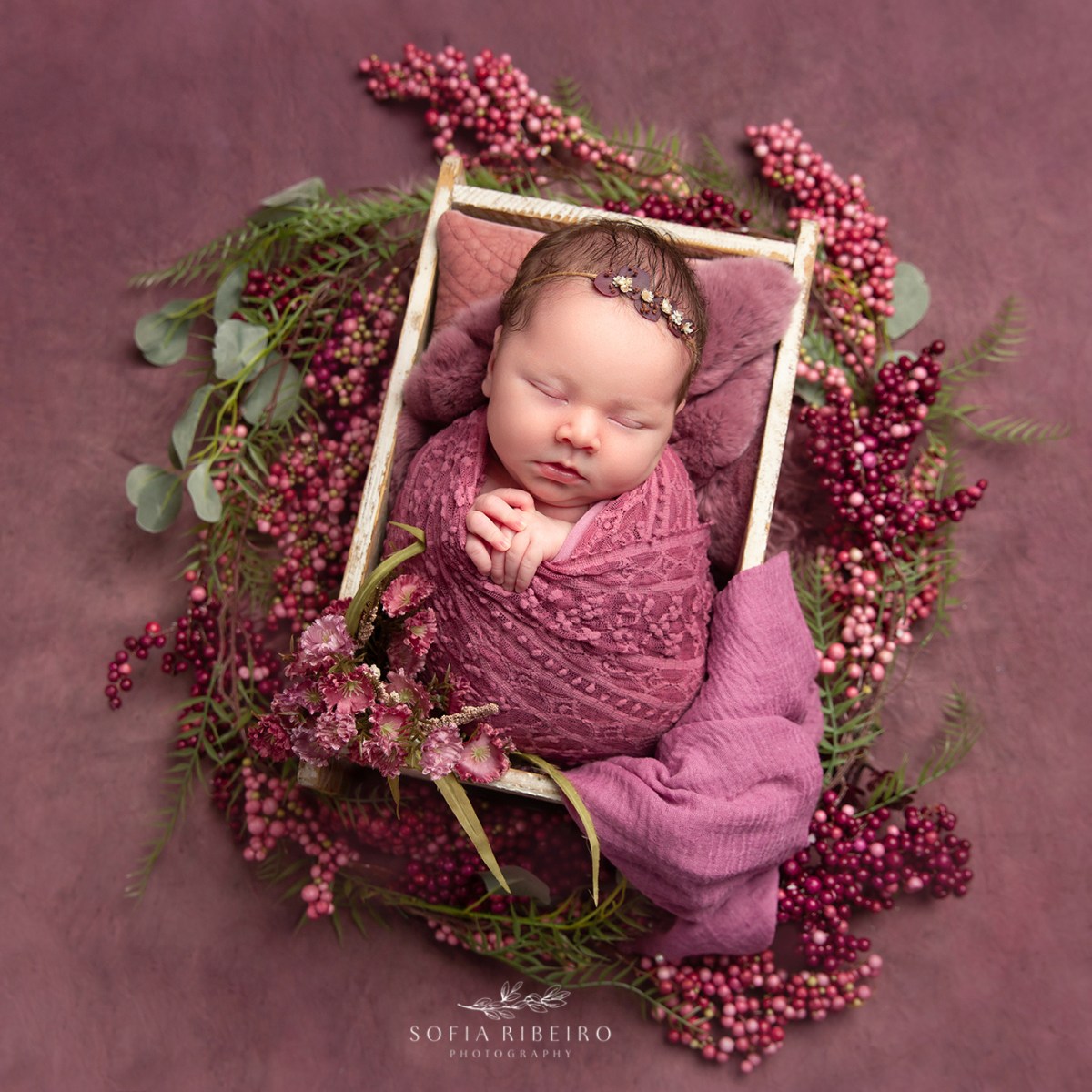 Bound Brook NJ Newborn Photographer