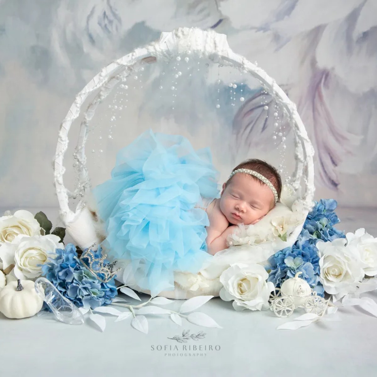 Chester NJ Newborn Photographer