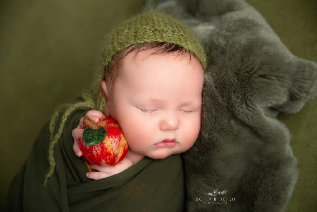 whippany NJ newborn Photographer newborn session with olive green and apples
