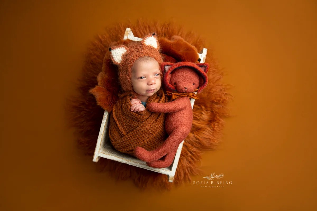 Union NJ Baby Photographer