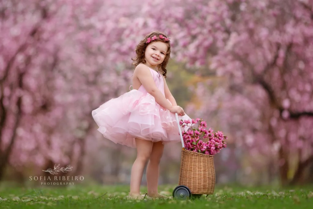 magnolia flowers princess photos
