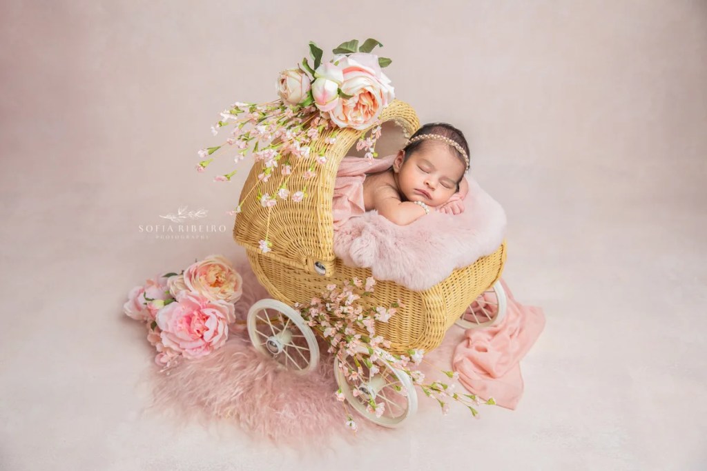 nj newborn photographer expertly poses babies in props, like tihs baby girl in a pink carriage surrounded by flowers