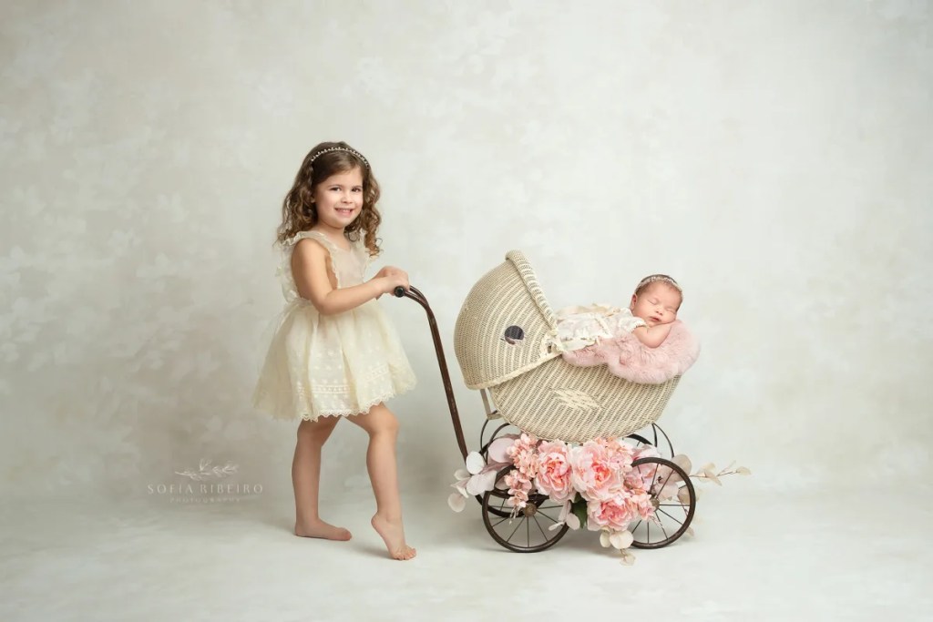 florham park nj newborn photographer, sisters in baby carriage