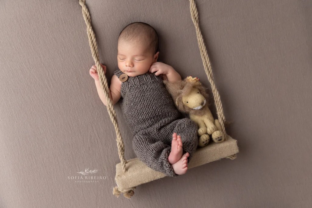 kenilworth nj baby photographer, baby in swing prop with lion