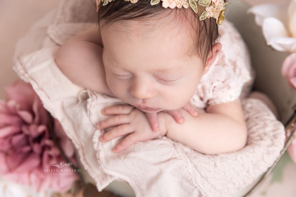 kearny nj newborn photographer, baby in bucket