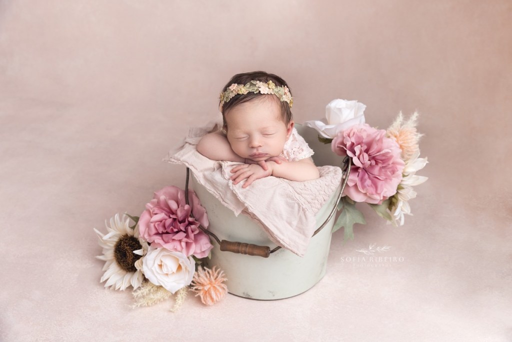 kearny nj newborn photographer, baby in bucket