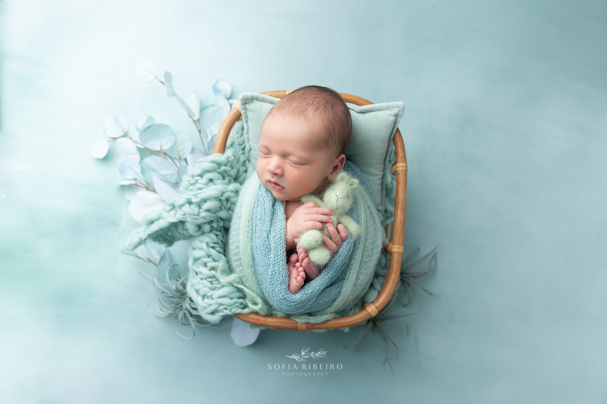 north bergen nj newborn photographer, baby snuggled in a basket prop with green teddy bear