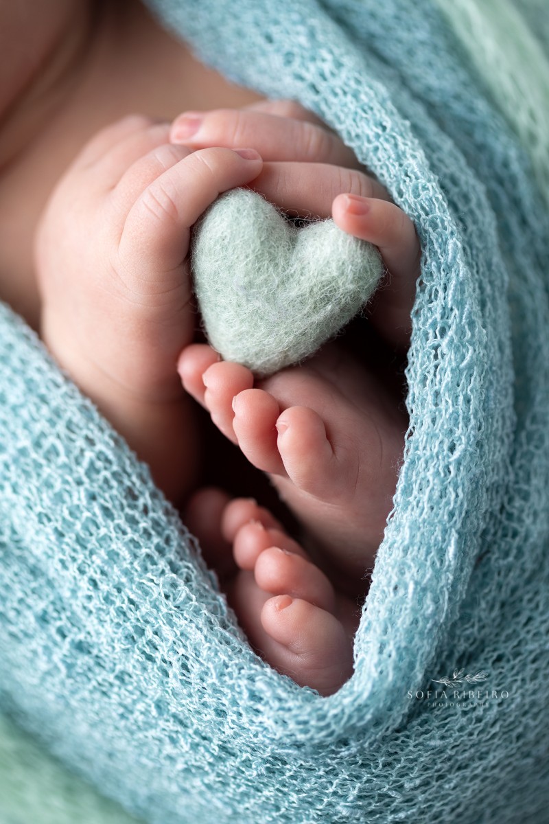 north bergen nj newborn photographer, closeup of baby toes and hands holding a hear