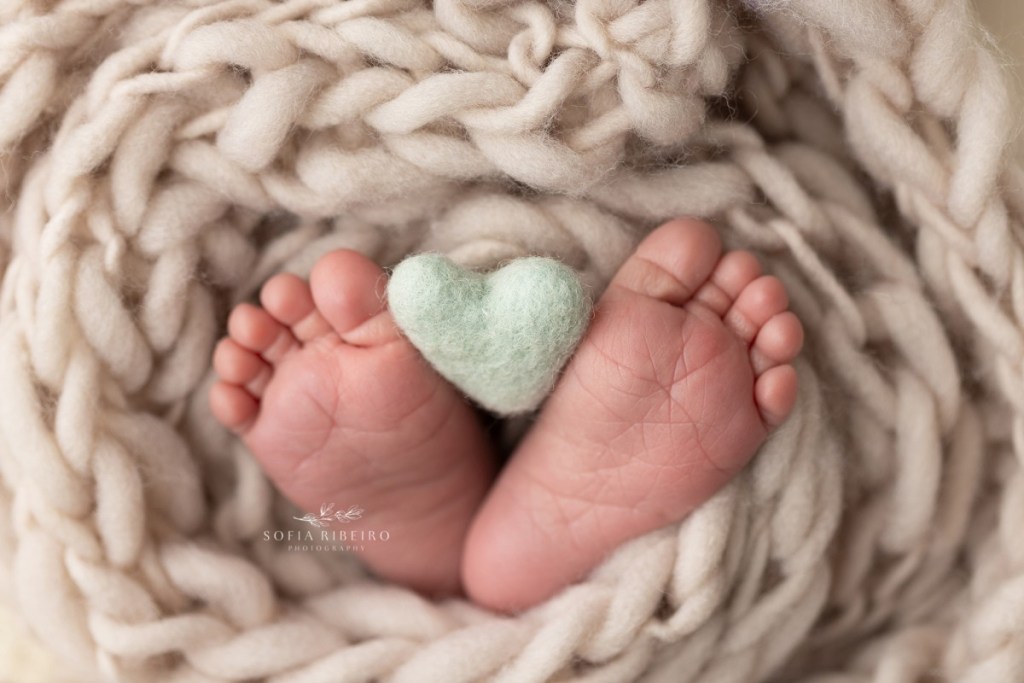 sage and neutral newborn session,