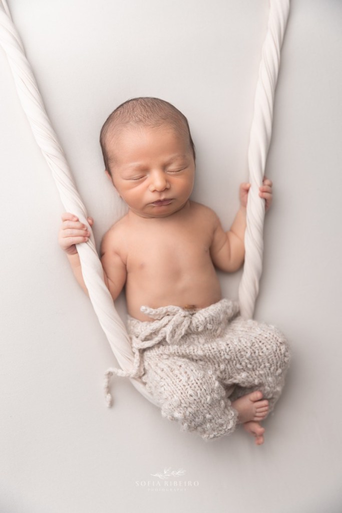 neutral beige baby newborn session with baby in fabric swing