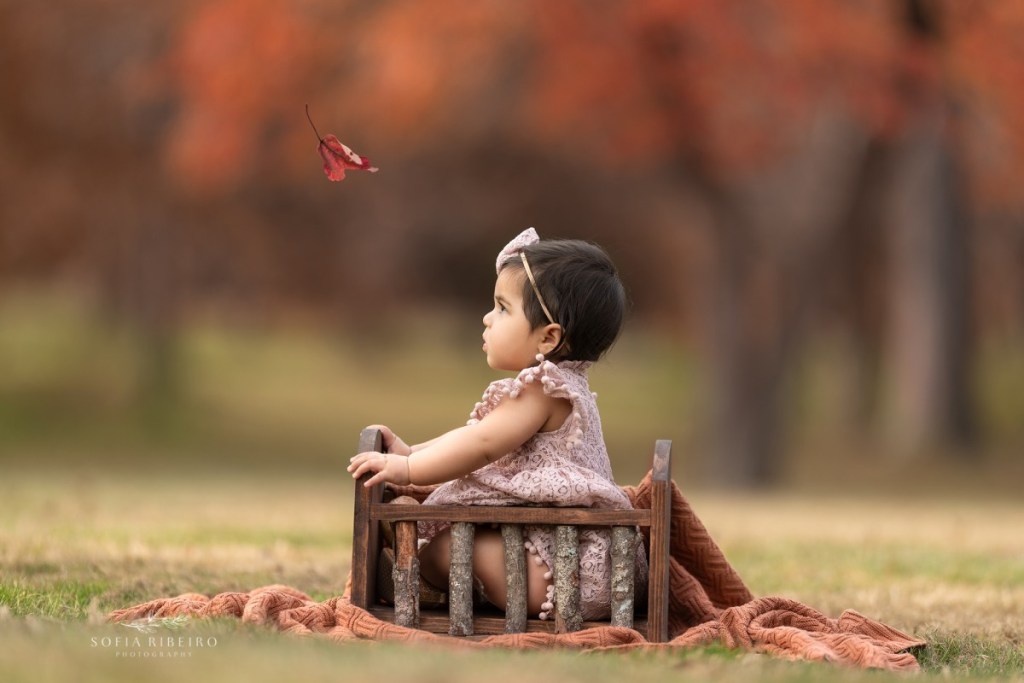 baby in a basket outdoors in the fall during a nj fall family session