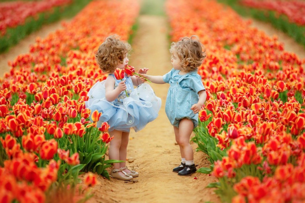 two toddlers share a tulip in a tulip farm in nj after taking photos with a children's photographer