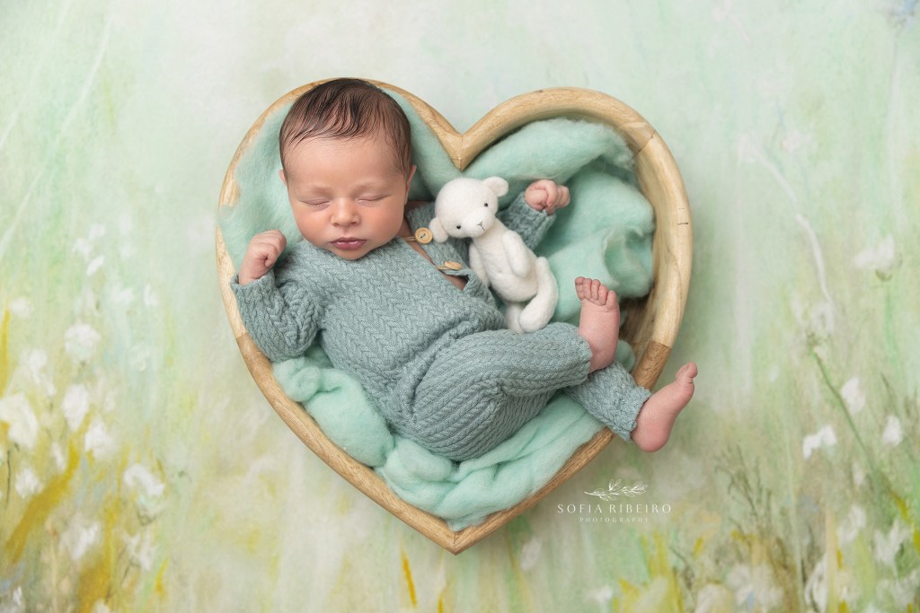 Newborn baby is posed in a heart with a teddy bear and green meadow backdrop for a portrait session with an NJ newborn photographer