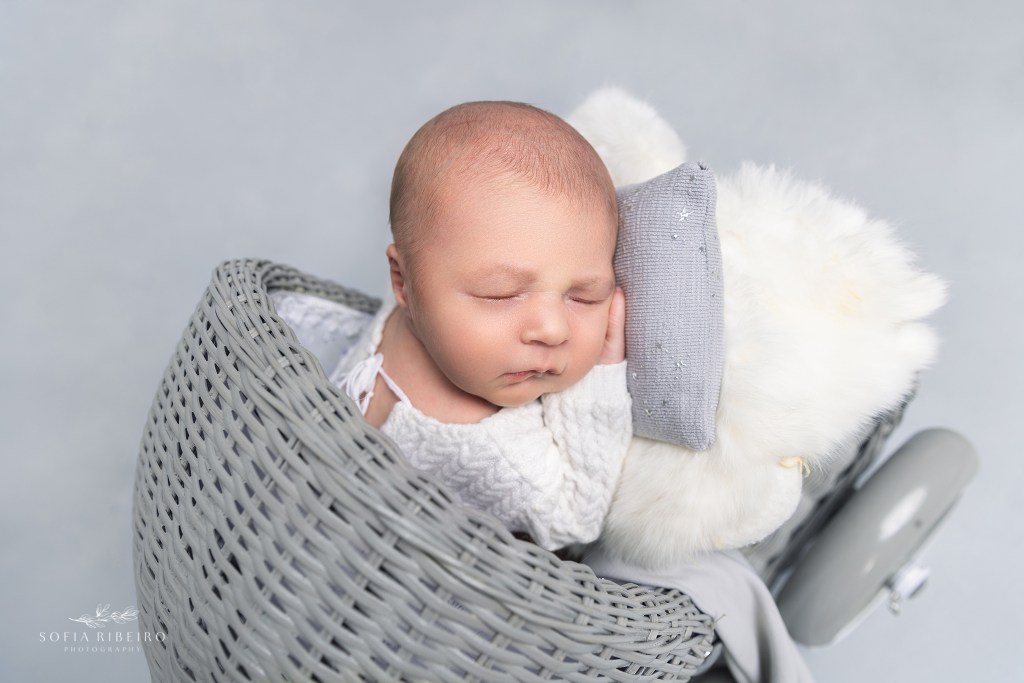 baby is posed in a newborn baby prop carriage during his newborn session
