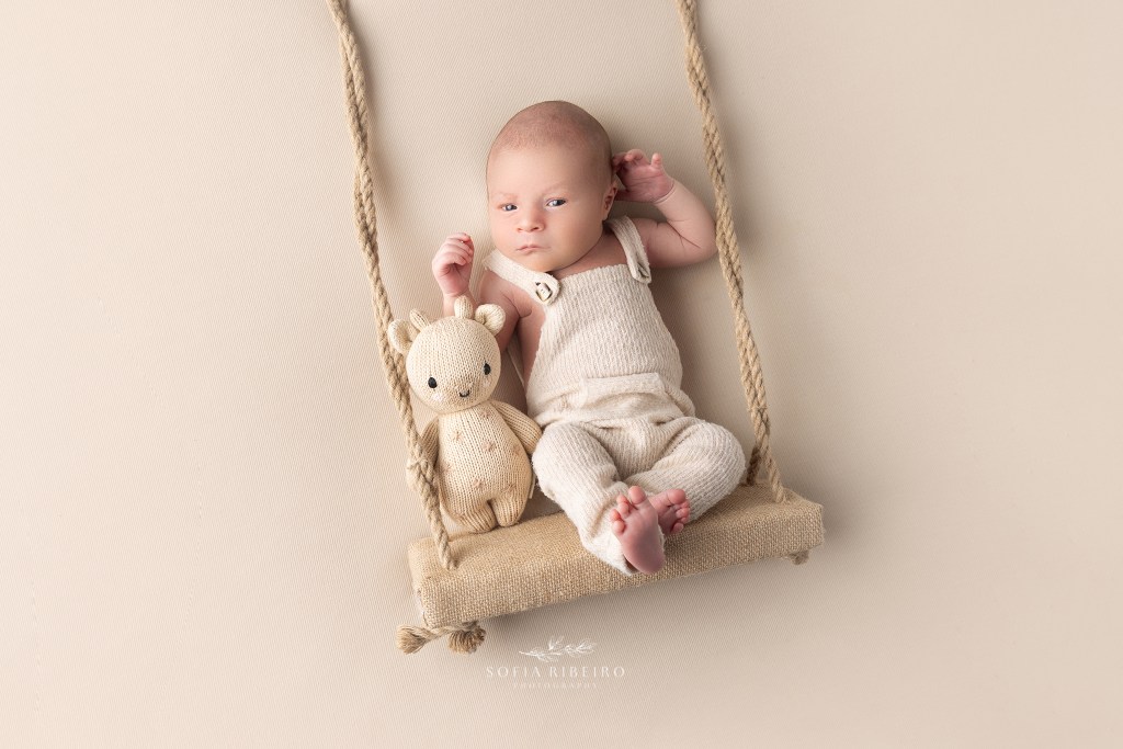 baby lies in a prop swing with a stuffed giraffe side-eyeing the camera cutely during his newborn session