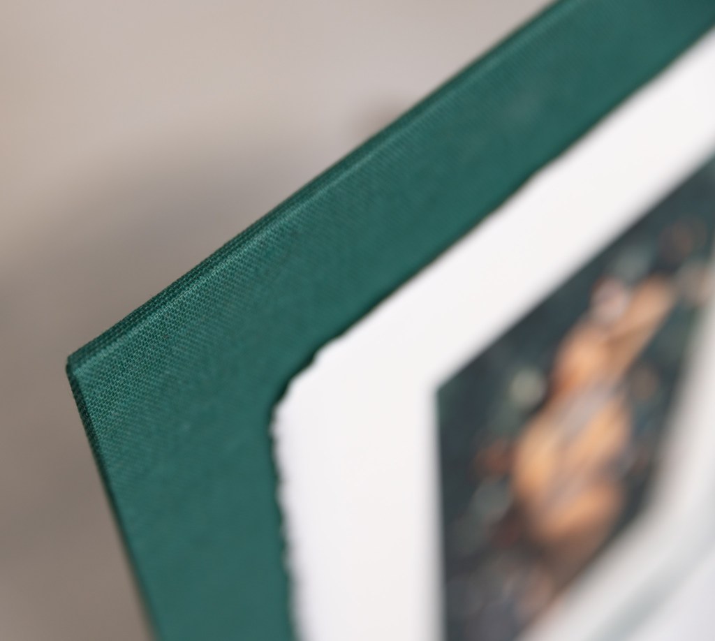 amalfi panel sample image from maternity session