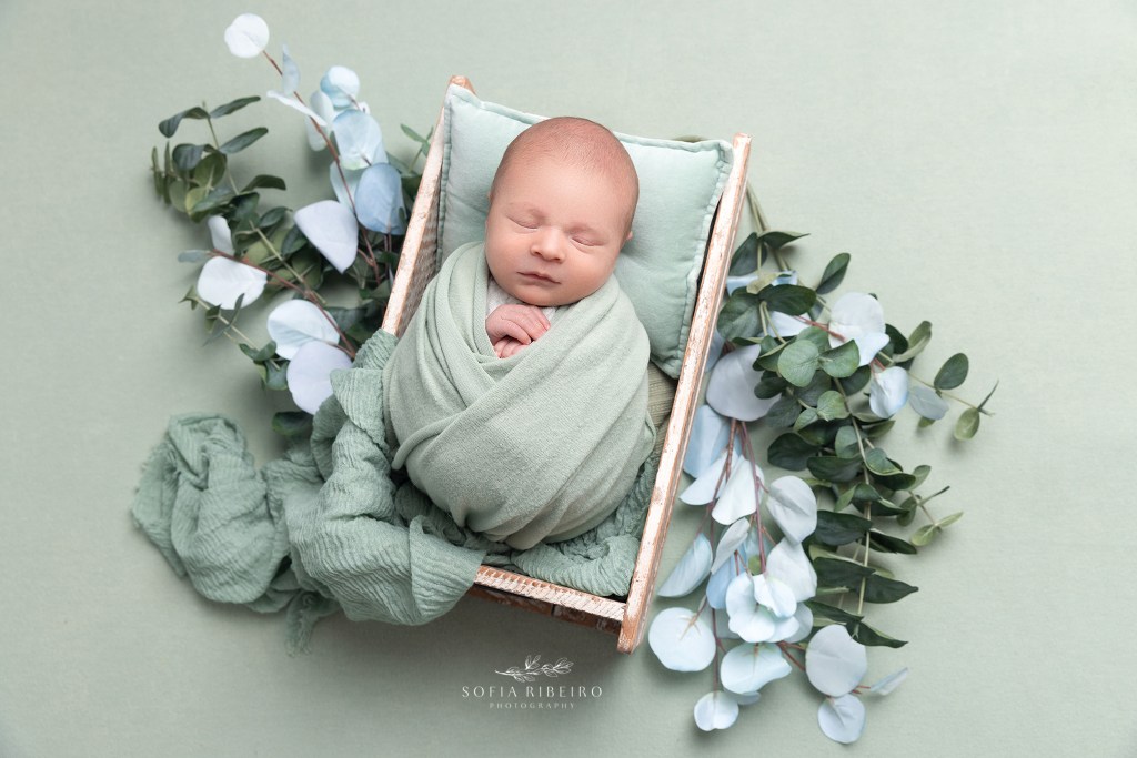 newborn baby boy in mint green basket and props during a newborn photography session in nj