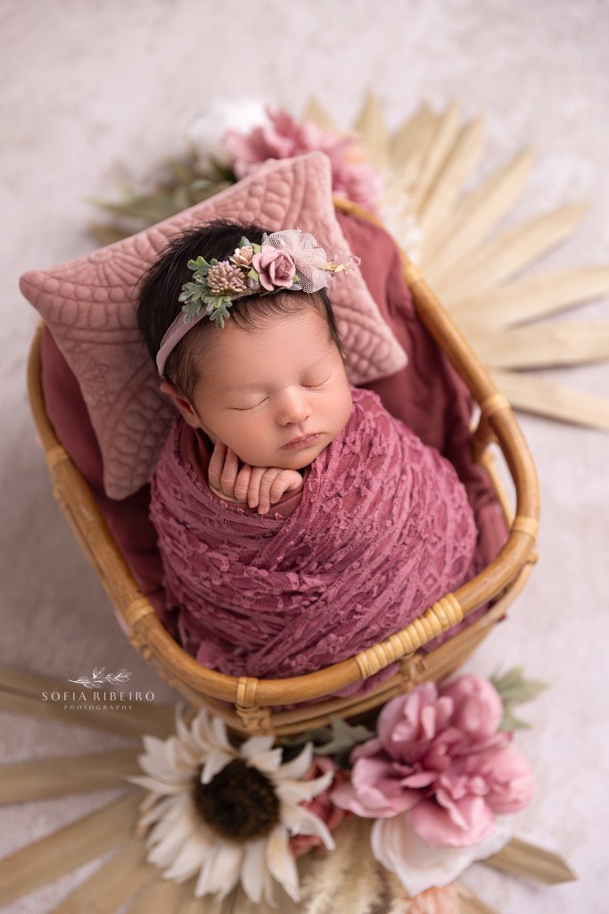 colonia nj newborn photographer takes an image of a baby girl in a bohemian themed basket prop