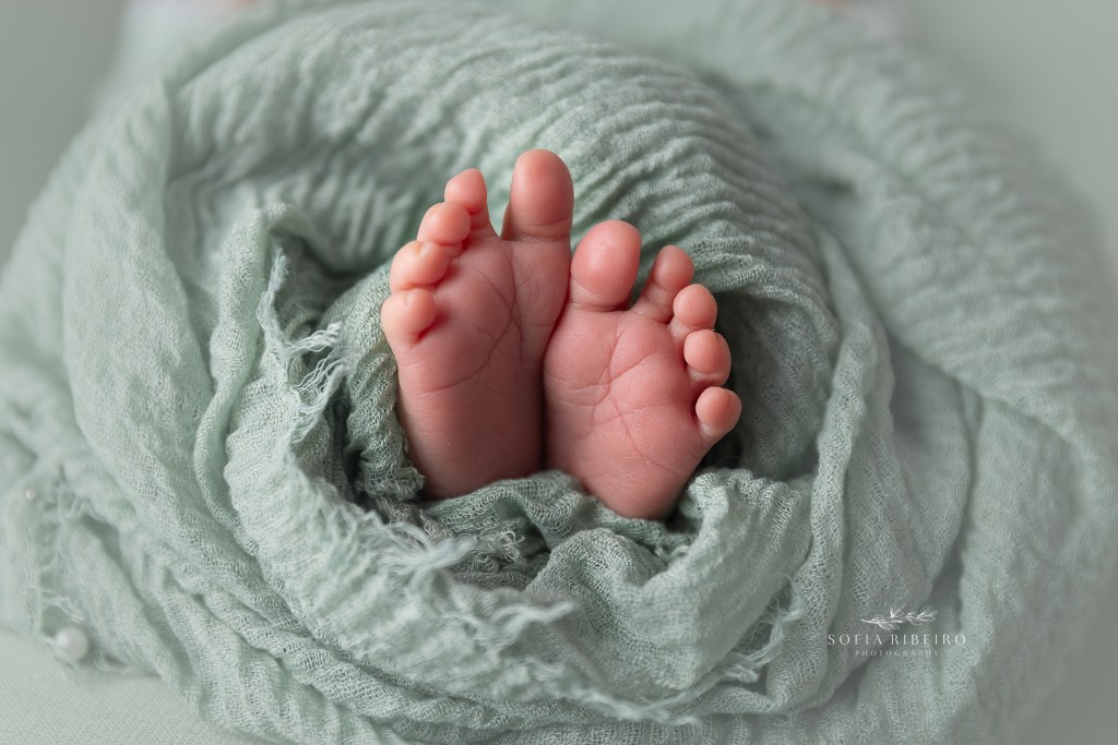 closeup of baby toes during a newborn session