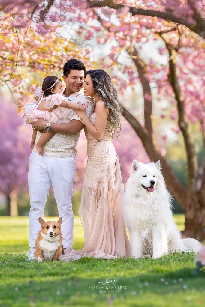 family poses with their dogs with the cherry blossom blooms in the background. Dad is holding baby while mom looks on lovingly