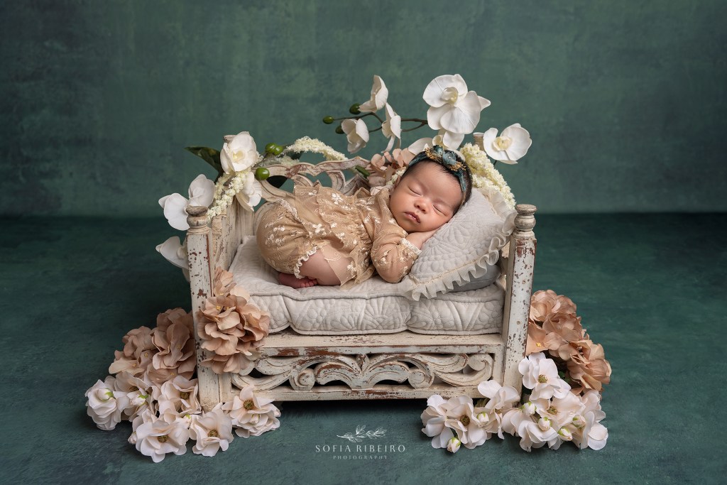 a newborn baby girl is posed on a wooden cream bed against a green background in englewood nj