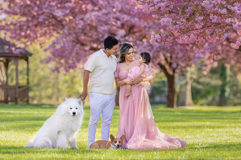 family cherry blossom session in nj with two dogs, dad and mom look at baby girl lovingly