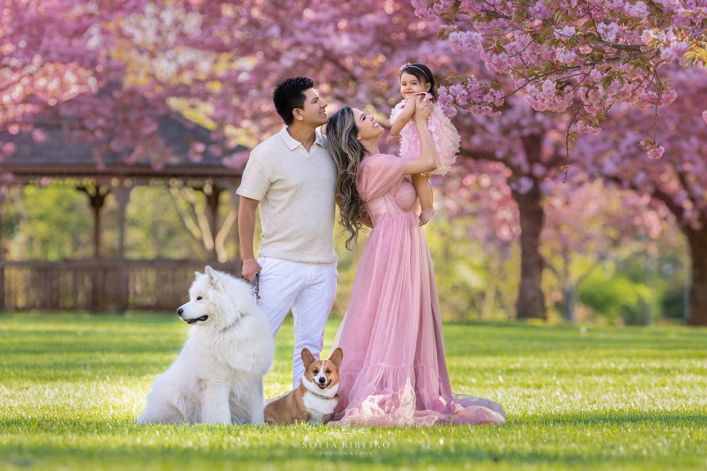 family cherry blossom session in nj with two dogs