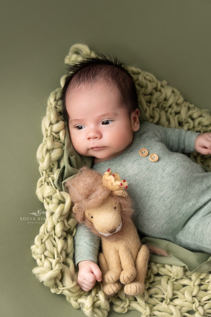 newborn boy poses with a lion prop during a newborn session in scotch plains nj