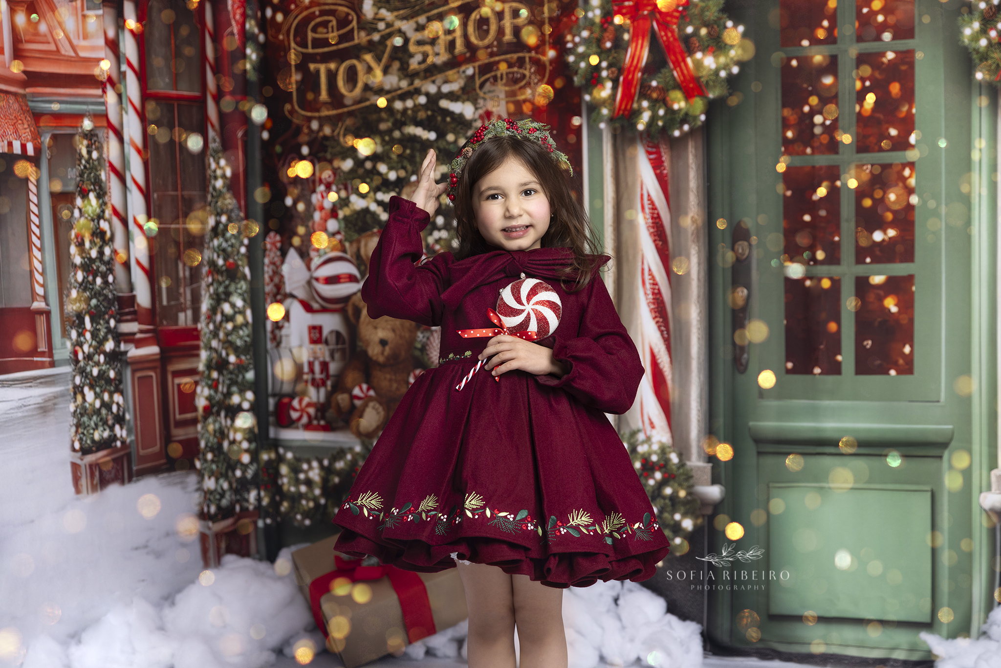 2024 Holiday Mini Sessions