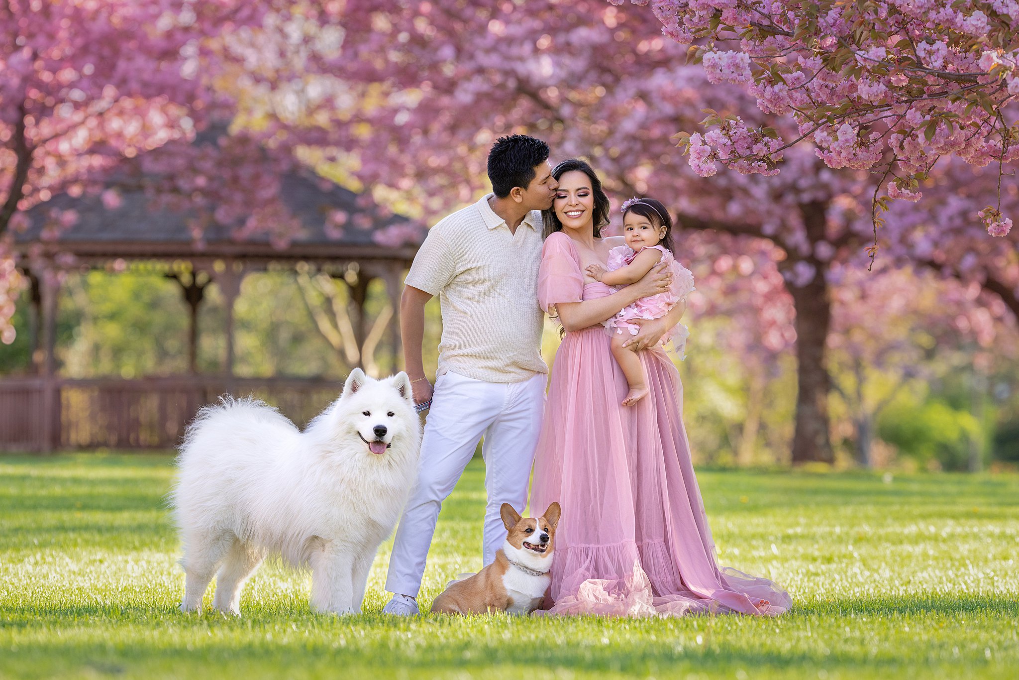 A father kisses his wife's cheek as they stand in a park with their toddler daughter and 2 dogs