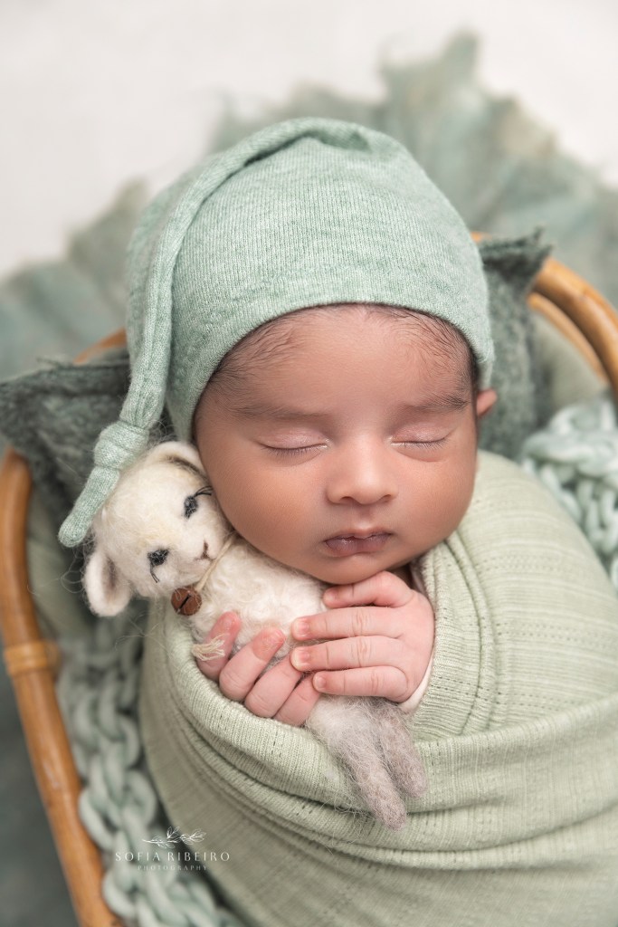 baby boy is snuggled in sage green fabric in a basket prop while holding a stuffed baby sheep during photos in staten island