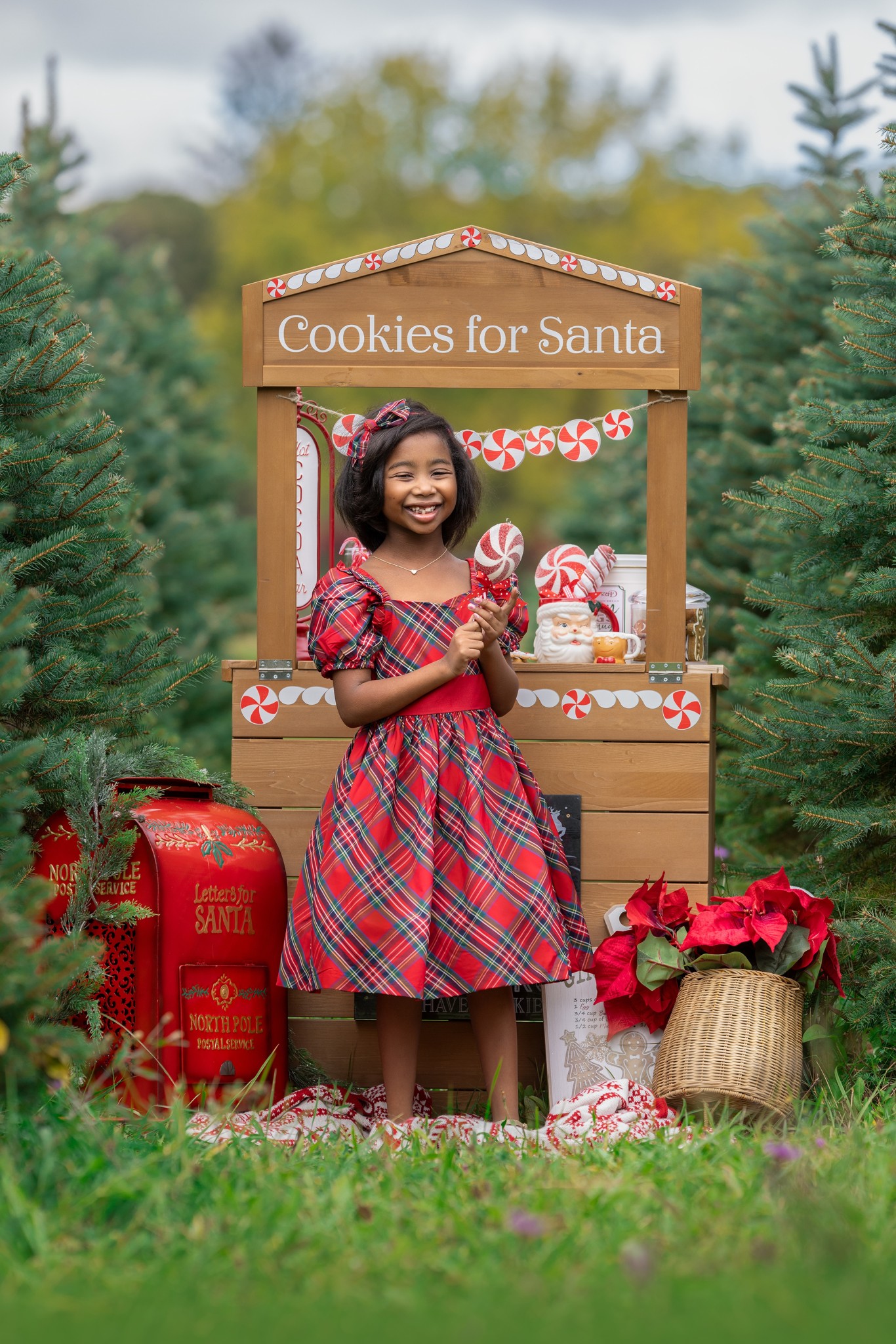 A toddler girl in a red plaid dress stands at a cookie stand holding a lollipop while visiting christmas tree farms in nj