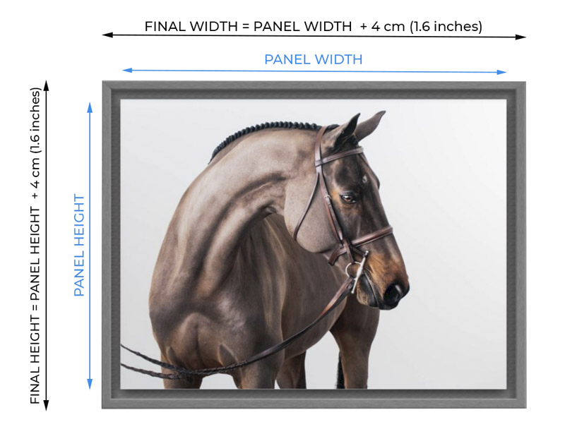 floating frame dimensions