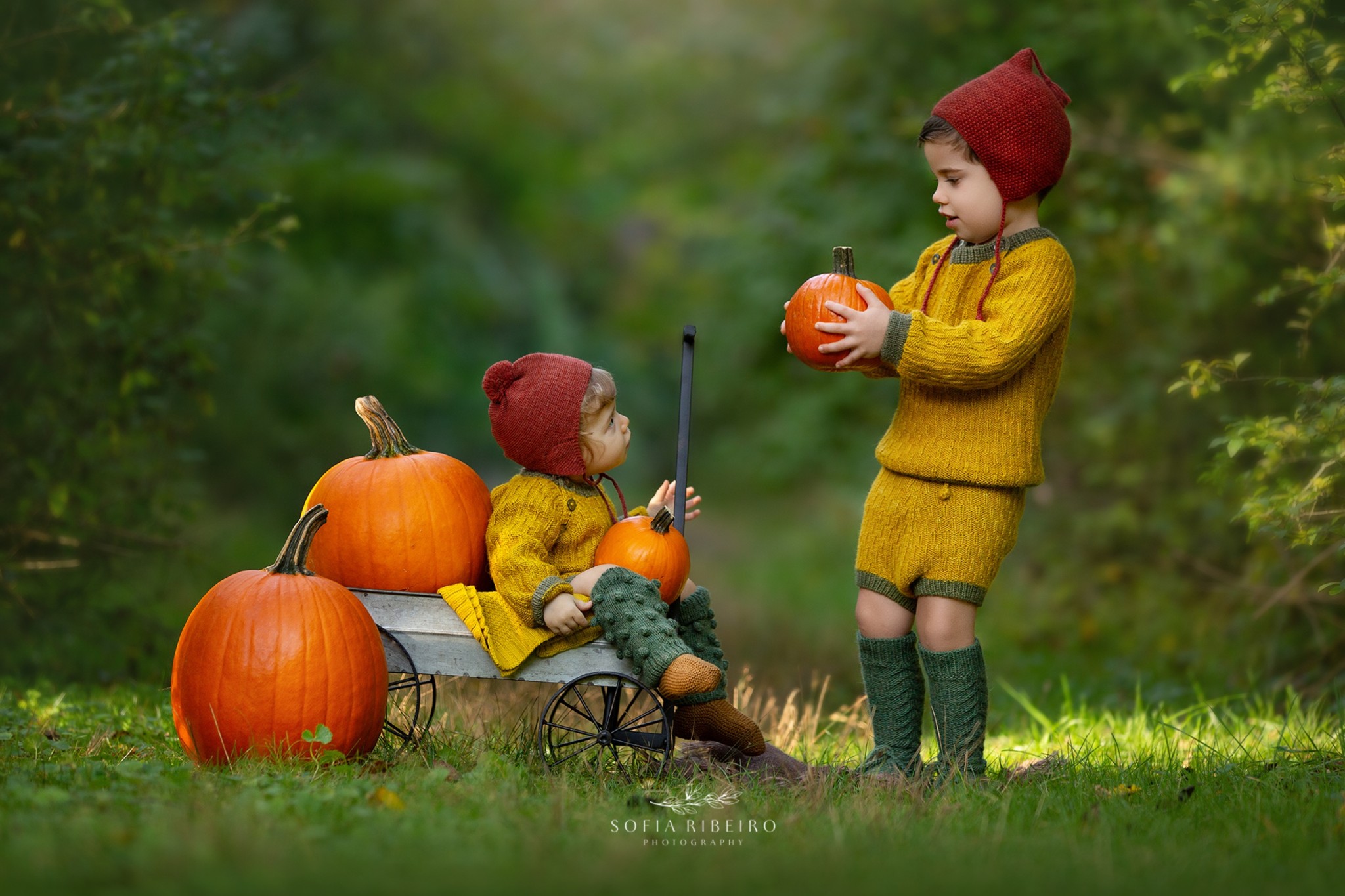 Plan a Family Fun Day at 8 Great Pumpkin-Picking Farms in NJ