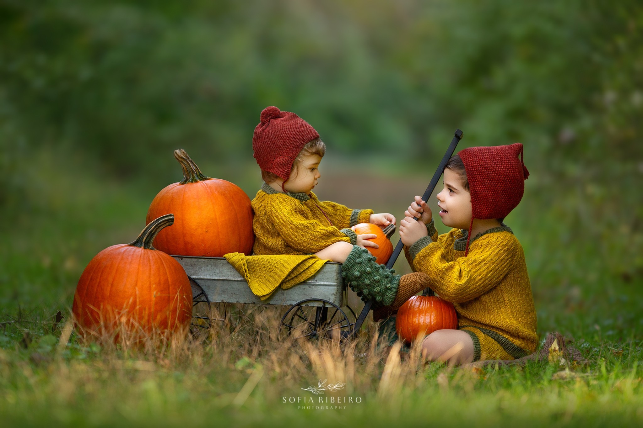 Happy toddler siblings play in a small wagon with pumpkins while visiting pumpkin picking farms nj