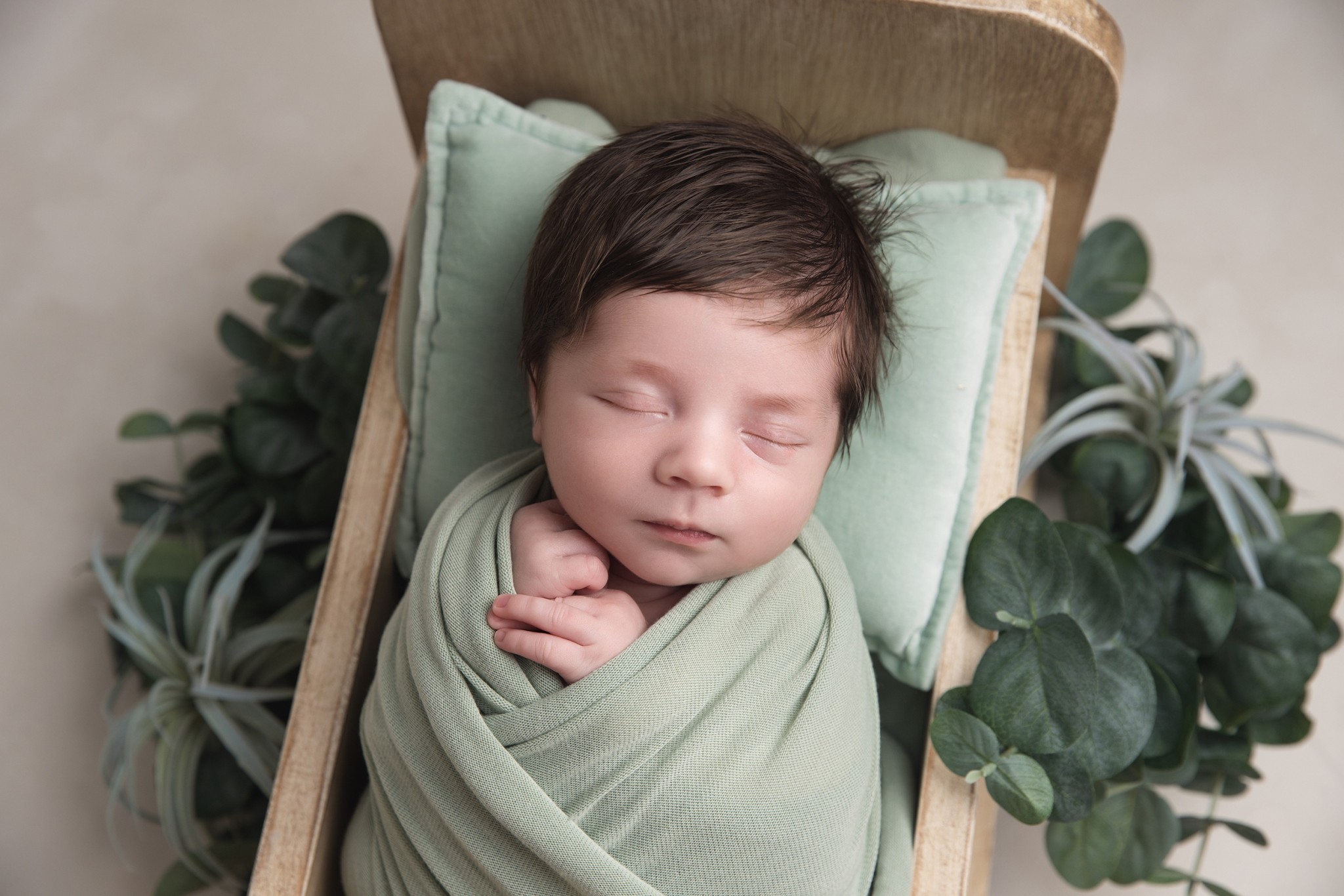 A newborn baby with lots of hair sleeps in a tiny wooden crib surrounded by house plants