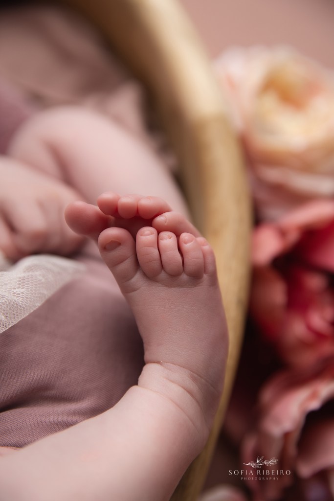 a closeup of sweet baby toes during a newborn photo session