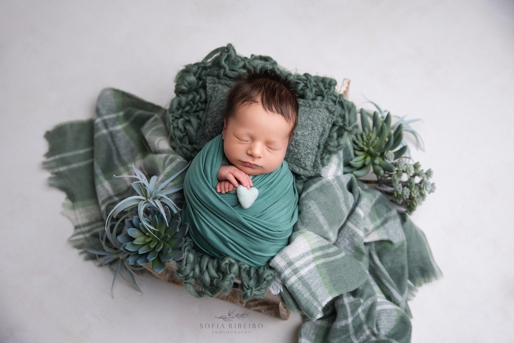 baby boy is posed in layers of green and succulents by a dover nj newborn phtoographer