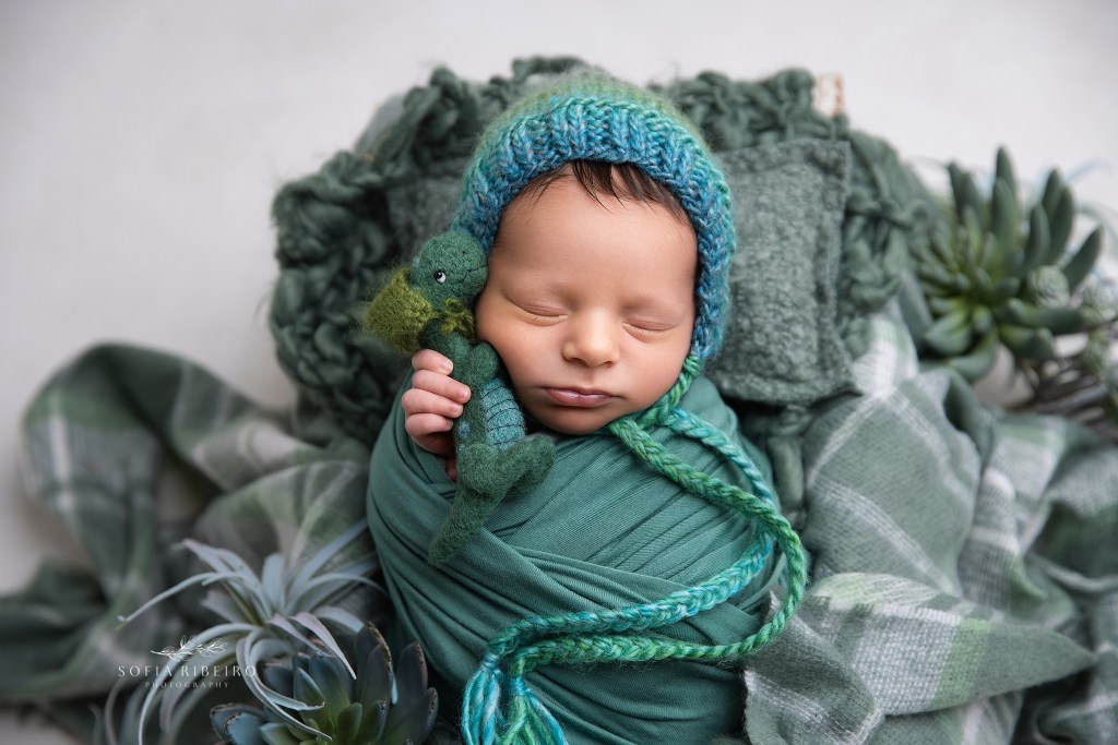 dover nj newborn photographer captures baby sweetly snuggling a baby dino in a matching green set