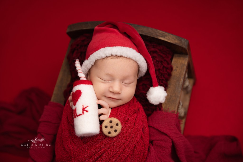 newborn baby photographer poses a little baby in a wooden bed with milk and cookies prop