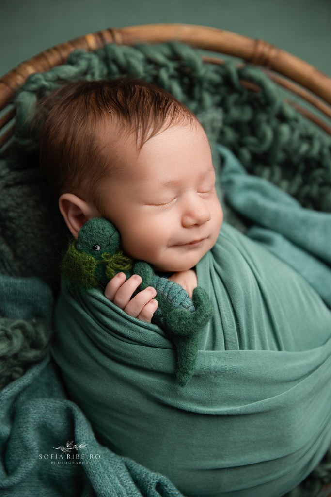 hillside nj newborn photographer captures a sweet baby smile in a newborn holding a tiny dino