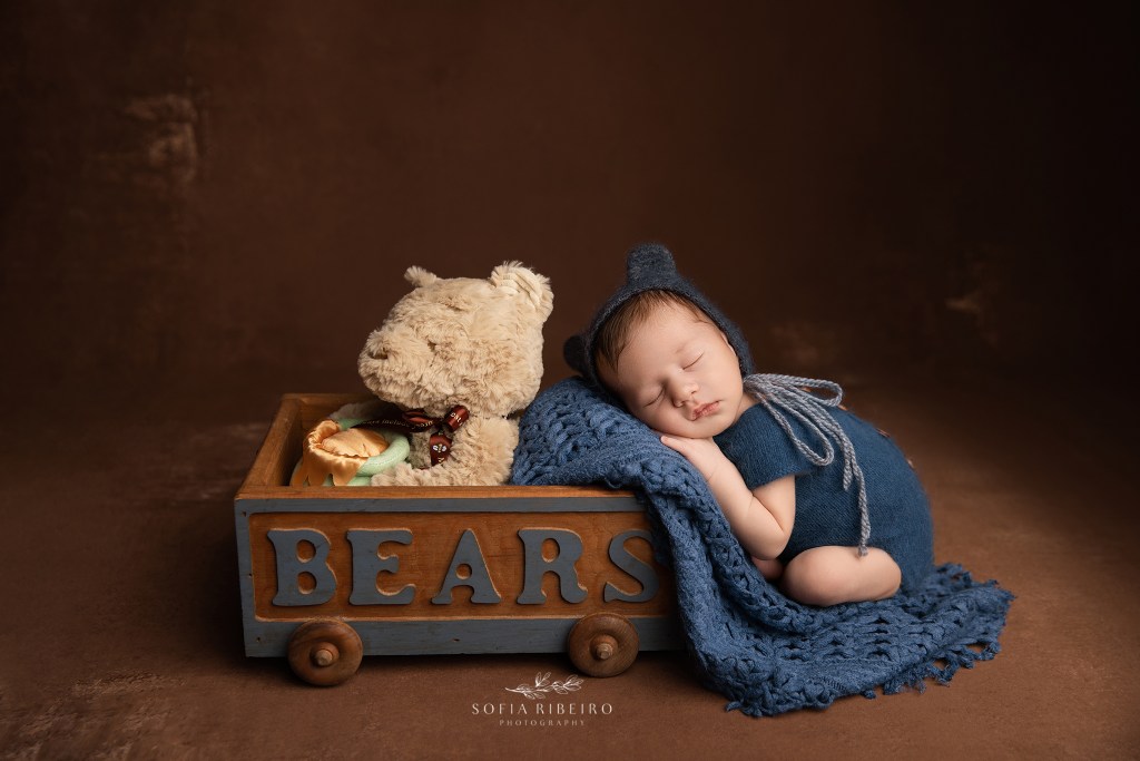 hillside nj newborn photographer poses a newborn baby boy with a bear prop in blue